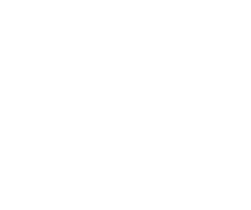 economnic-drive-stein-essen-schlossquelle-logo-white